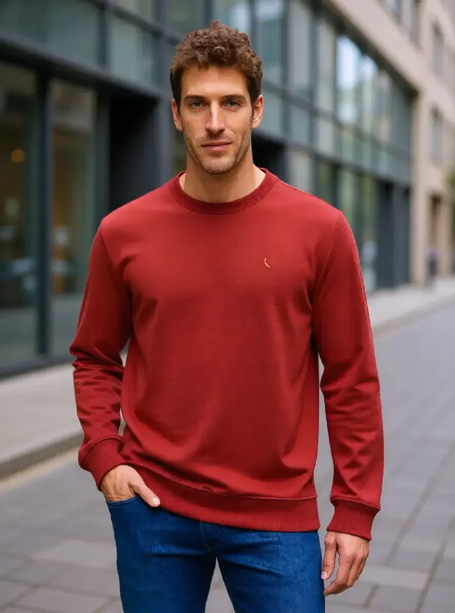Sueter Moletom Reserva Masculino Basico New