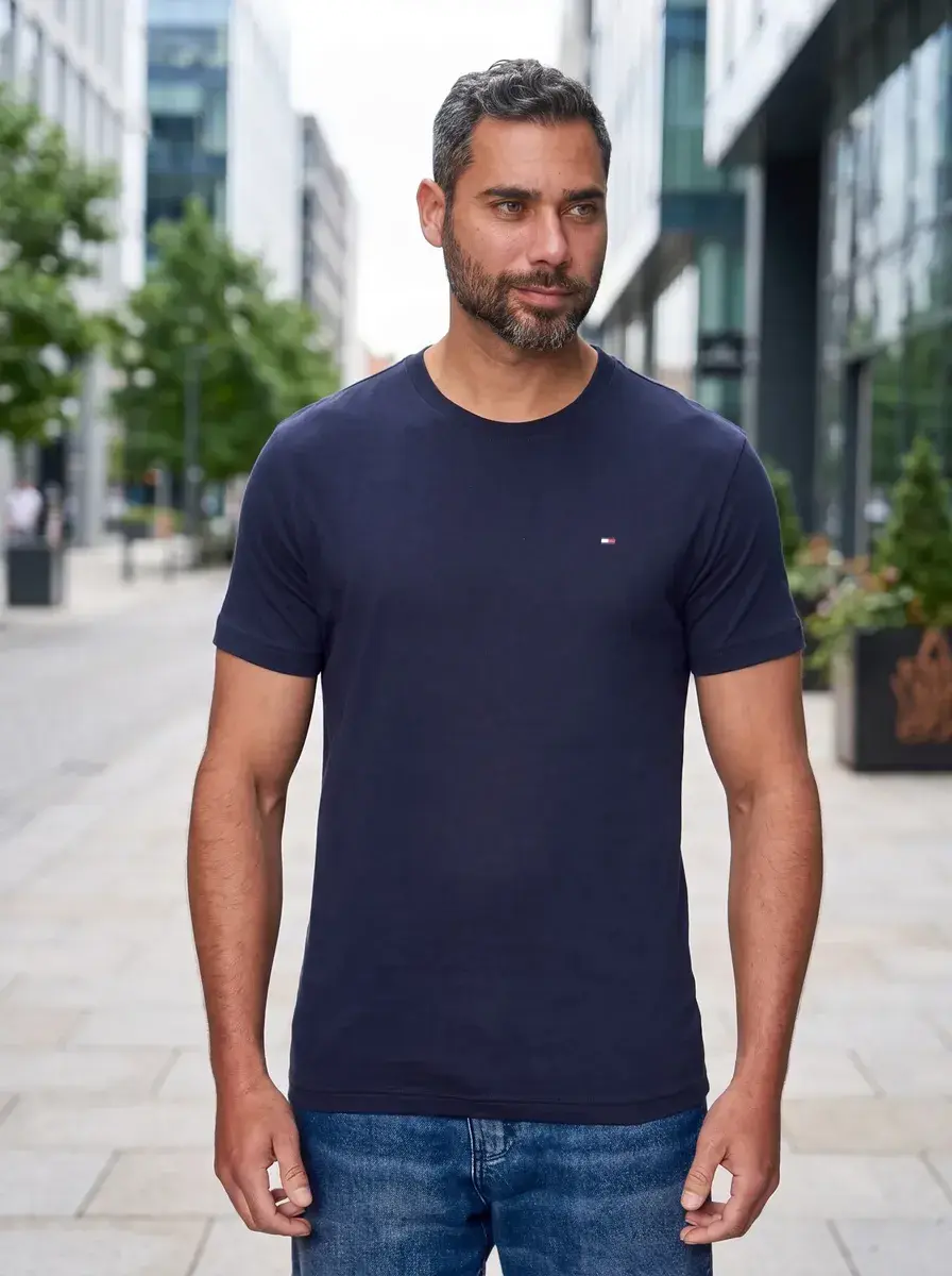 Camiseta Tommy Hilfiger Masculino Abmw0mw36415