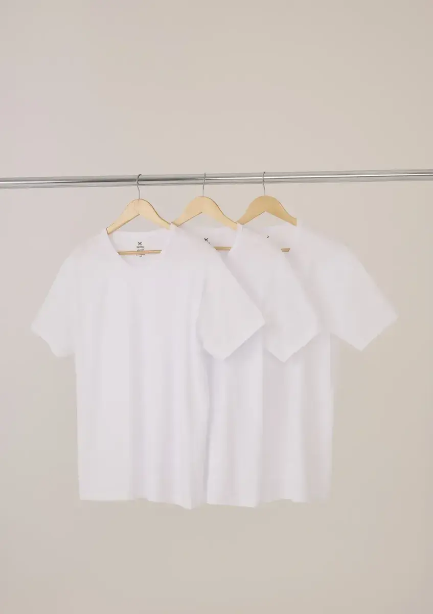 Kit Com 3 Camisetas Masculinas Básicas Slim Original Hering