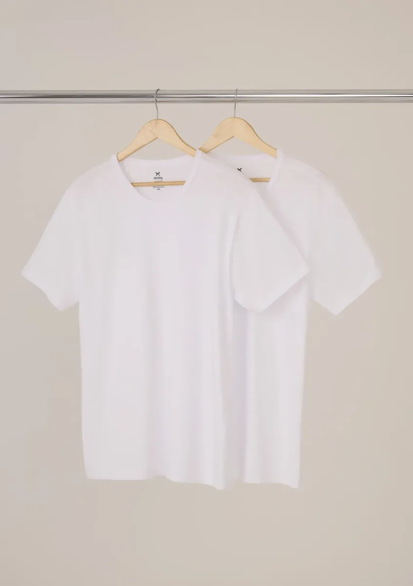 Kit Com 2 Camisetas Masculinas Básicas Slim Hering
